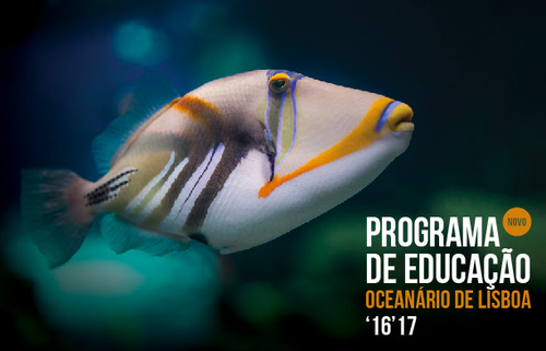 oceanario.png