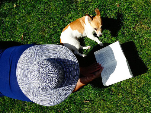 leitura_animal.jpg