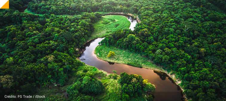 amazonia.png