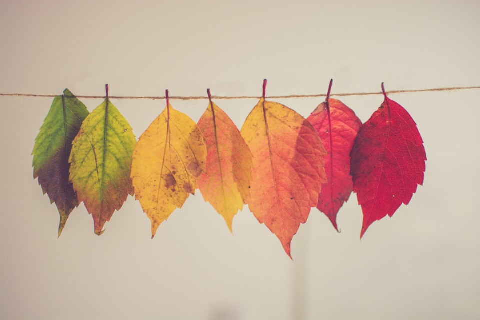 chris-lawton-5IHz5WhosQE-unsplash - Ana Paula Fari